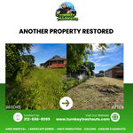 Landscape clean up