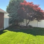 Landscaped yard