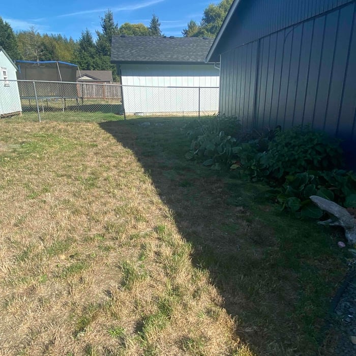 Backyard mow