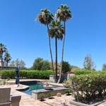 Fan Palms over a pool