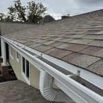 Gutter cleaning