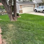 Project Photos