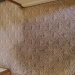 Carpet Cleaning