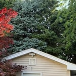 Fascia Repair