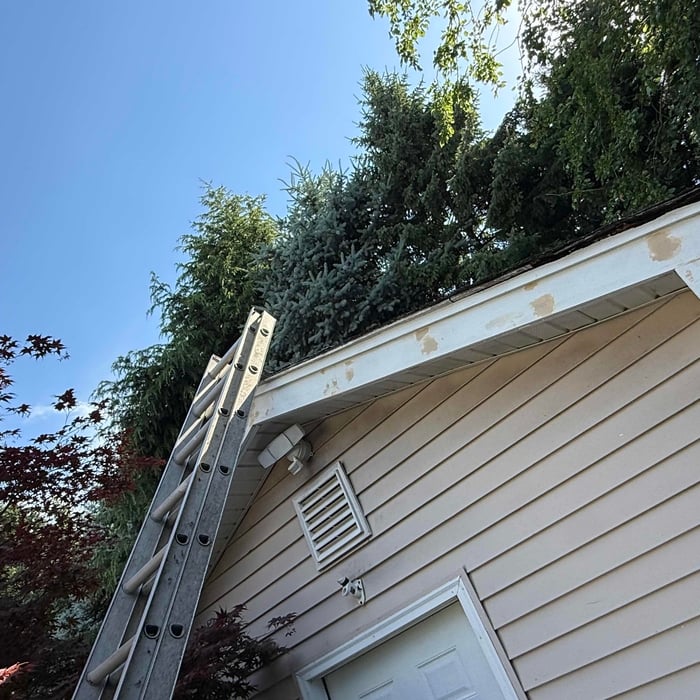 Fascia Repair
