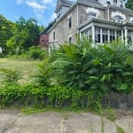 Yard transformation