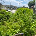 Yard transformation