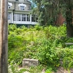 Yard transformation