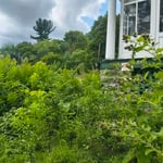 Yard transformation