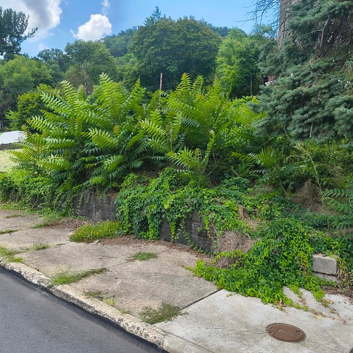 Yard transformation