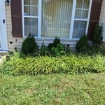 Clean Garden