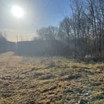 overgrown pasture