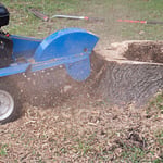 Tree Stump Removal