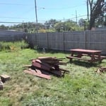 Wood Removal