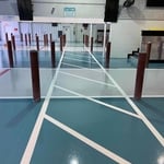 Tampa Auto auction