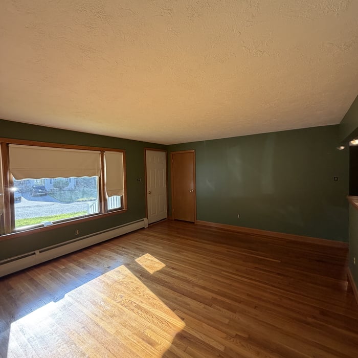 Full Interior Painting