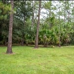 Forestry mulching