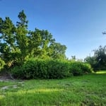 Forestry mulching