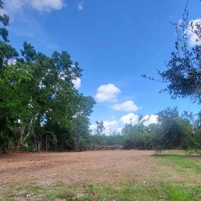 Forestry mulching