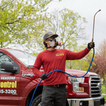 Exterior Treatment