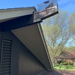 Wildlife Removal
