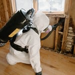 Mold Removal