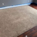 Carpet Cleaning