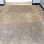 Carpet Cleaning