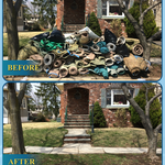 Carpet Removal