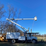 Tree Trimming
