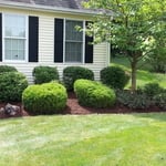 Landscaping Projects