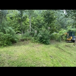 Land clearing