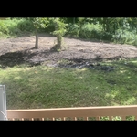 Land clearing