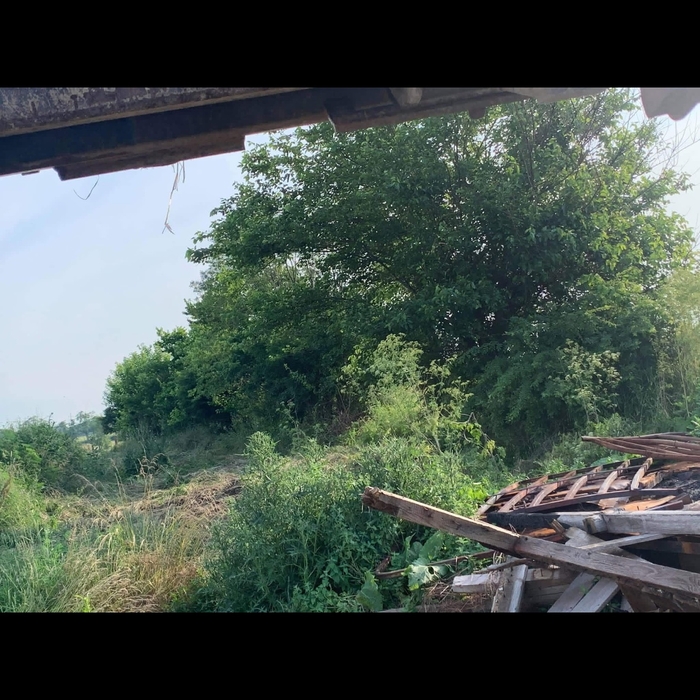 Land clearing
