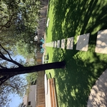 Turf cleaning