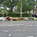 Junk removal project