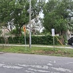 Junk removal project