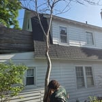 Tree removal