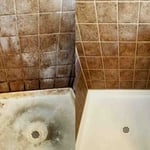 Deep Clean Shower