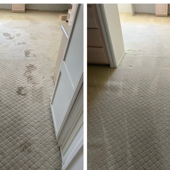 Carpet Cleaning