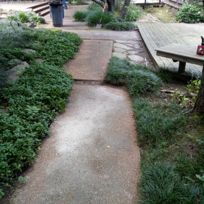 Roof Cleaning- Deck Stain