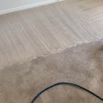 Carpet cleaning