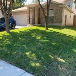Sod installation