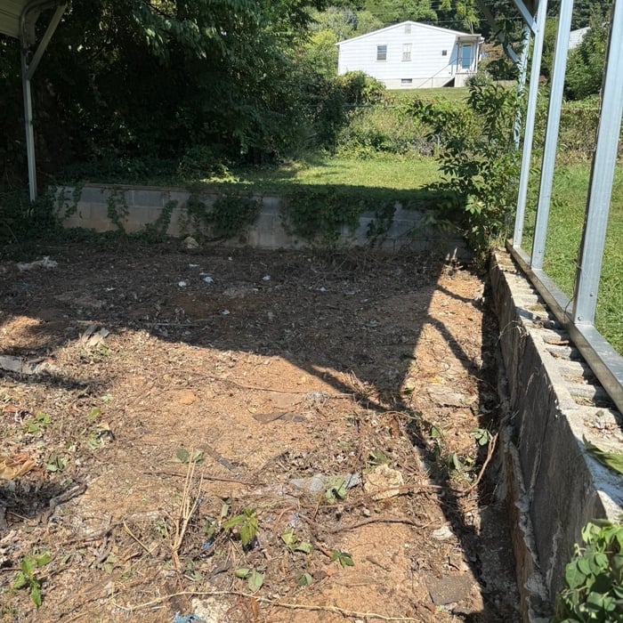 Backyard Clean Out