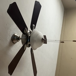 Light Fixture 3