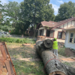 Tree Trimming and Removal