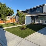 Low maintenance yard