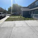 Low maintenance yard