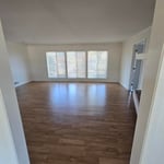 Blinds & Paint