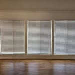 Blinds & Paint